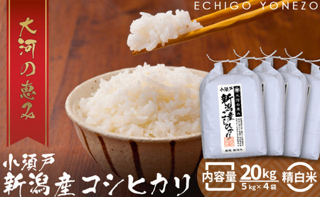 新潟市産コシヒカリ 白米 20kg お米 精米 ご飯 代表 自然 飽きない 自信 美味しい 