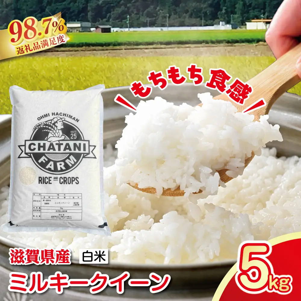 【新米】令和8年産　近江米　ミルキークイーン 白米【5kg×1袋】【V009W2】近江米