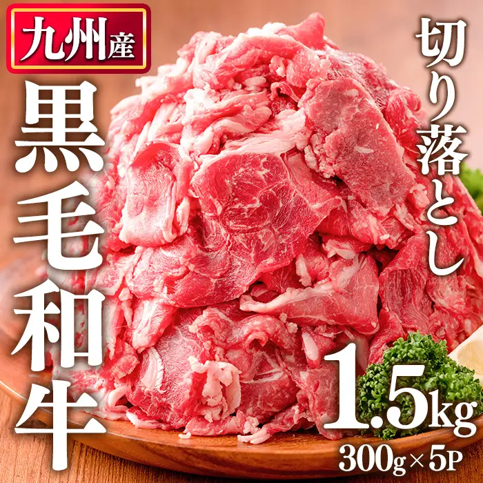 九州産 黒毛和牛 牛肉 切り落とし 計1.5kg 300g×5P LRプラスK No.1011 