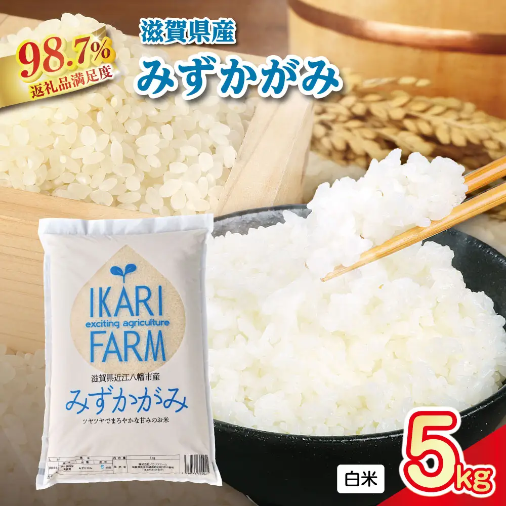 【新米】令和8年産　冷めても美味しいあっさりとした味わい「みずかがみ」白米【5kg】【C014W2】 近江米