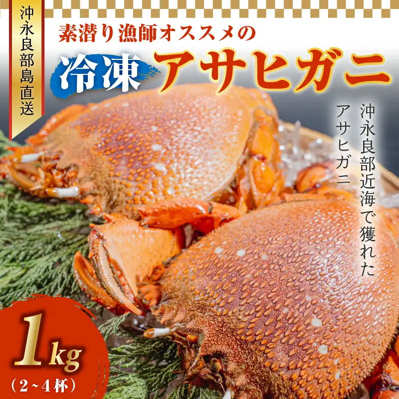 沖永良部島直送！素潜り漁師オススメの冷凍アサヒガニ1キロ（2～4杯） W030-007u 冷凍 海鮮 カニ