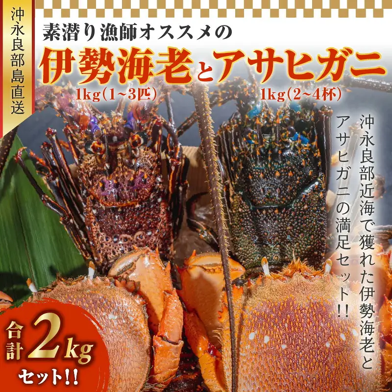 沖永良部島直送！素潜り漁師オススメの伊勢海老1キロ（1～3匹）とアサヒガニ1キロ（2～4杯） 合計2キロセット！！ W030-015u 冷凍 海鮮 エビ