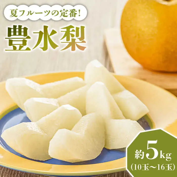 2027年8月-発送】【口いっぱいのみずみずしさ！】豊水梨 約5kg 梨専門