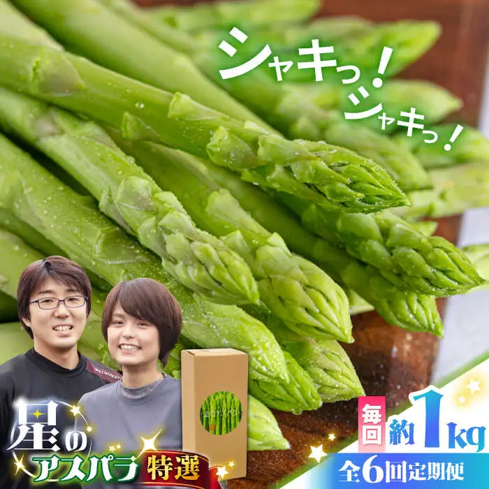 【6回定期便】春＆夏のグリーンアスパラガス 約1kg [SEY011] アスパラ