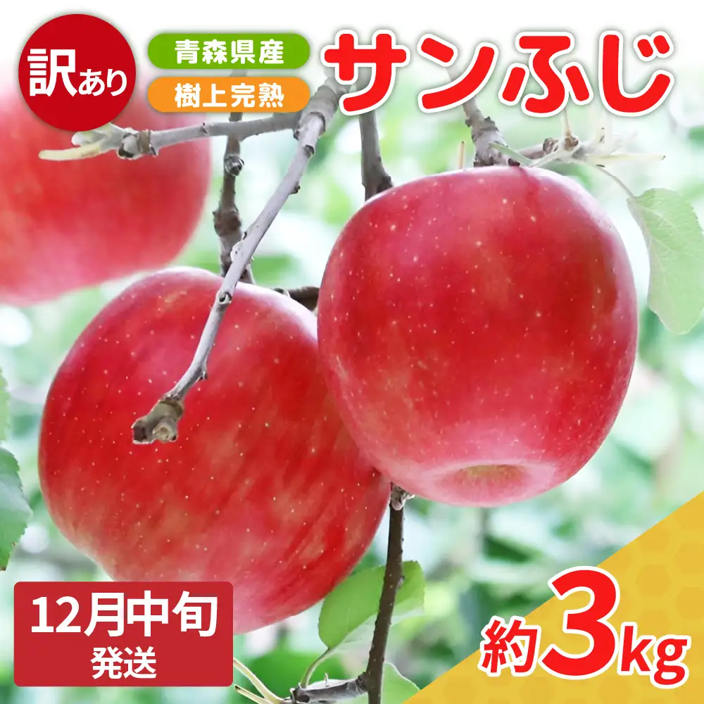 【ふるなび限定】 りんご　訳あり 約3kg サンふじ【2026年12月中旬発送】〈樹上完熟〉青森 FN-Limited-SP 