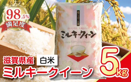 令和7年産 ミルキークイーン 5kg 白米 【T029W3】 近江米 精米