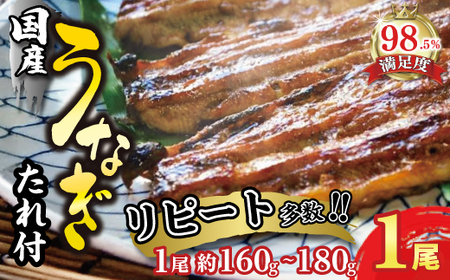 うなぎ 蒲焼 1尾 160g ～ 180g 【D008W】 国産 うなぎ