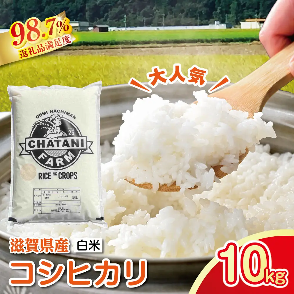 【新米】令和8年産　近江米　コシヒカリ 白米【10kg（5㎏×2袋）】【V012W2】 こしひかり 近江米