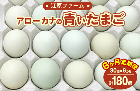 【定期便6か月】江原ファーム　アローカナの青い卵（30個） _AG17