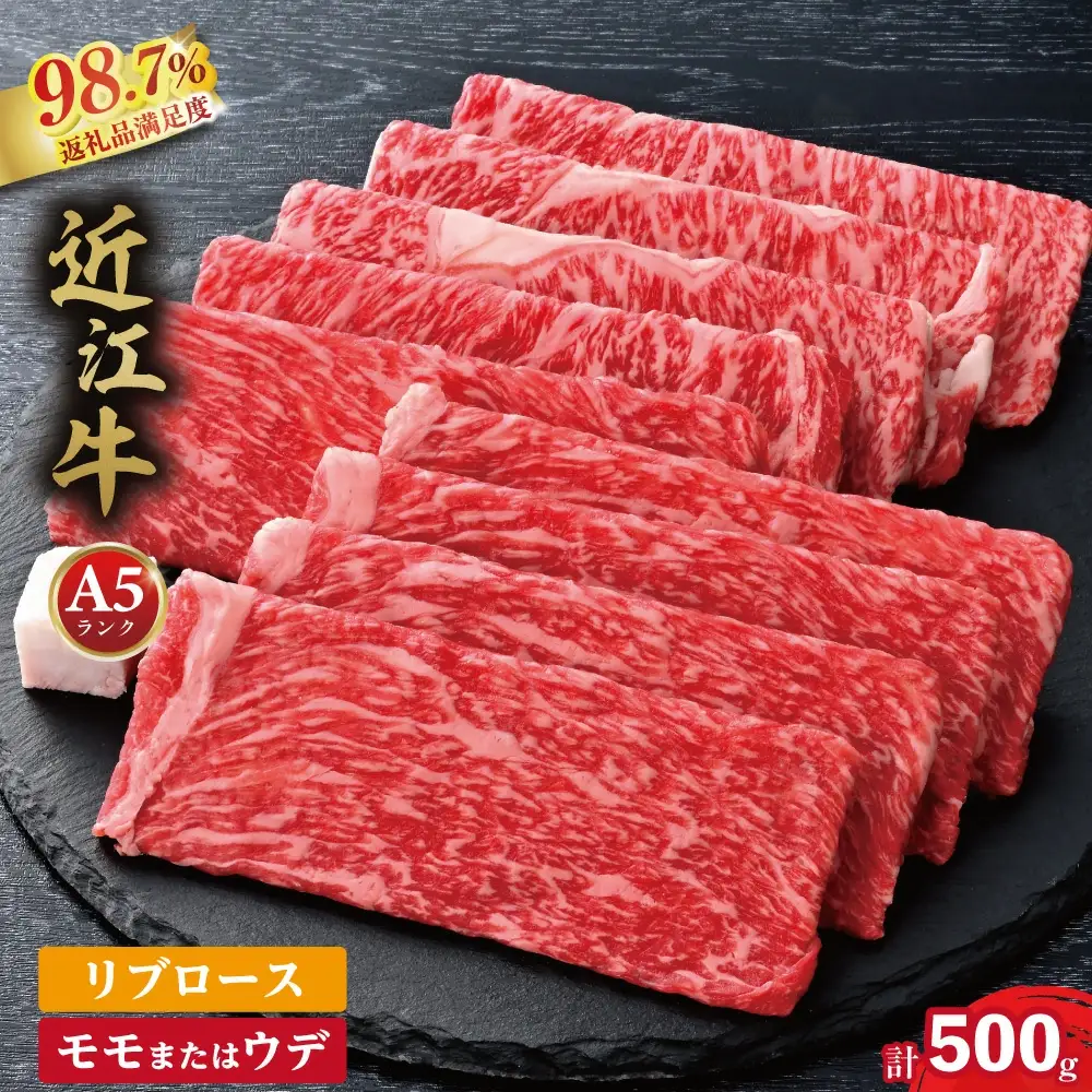 近江牛 すき焼き しゃぶしゃぶ 500g （リブロース250g、モモまたはウデ250g）【BS01W】 牛肉すき焼き