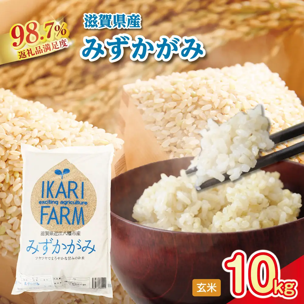 【新米】令和8年産 冷めても美味しいあっさりとした味わい「みずかがみ」玄米【10kg（5kg×2袋）】【C018W2】近江米 みずかがみ