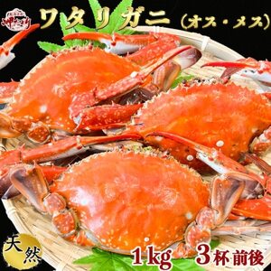 大好評】天然 ボイル ワタリガニ (オス・メス)1kg [3杯前後] [配送不可地域：離島]