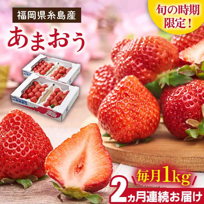 【先行受付】【全2回定期便】糸島産【春】 あまおう 4パック 計1kg 【2027年2月以降順次発送】糸島市 / 南国フルーツ株式会社 [AIK026] 