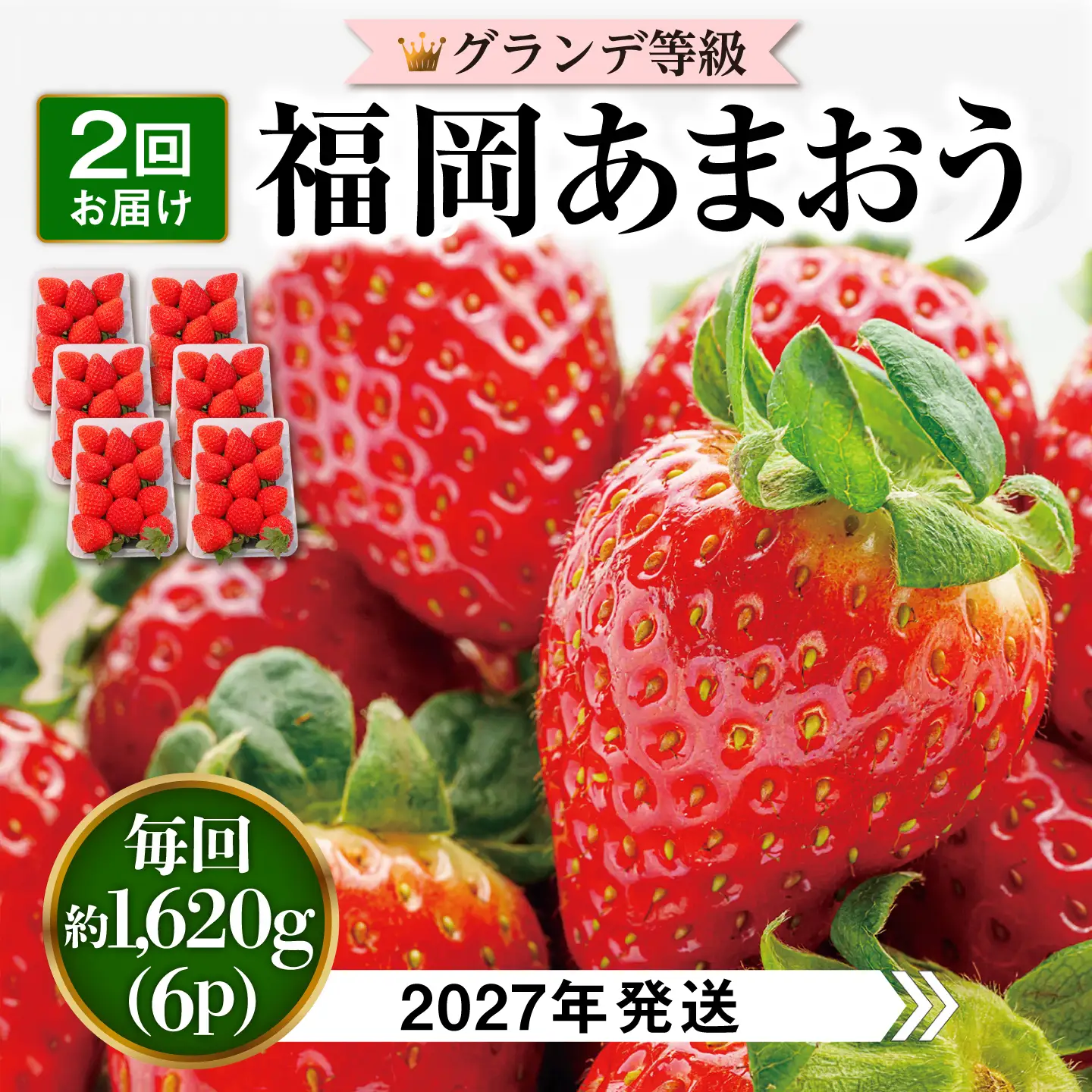 【先行受付】【全2回定期便】 あまおう いちご 1,620g ( 約 270g × 6パック )【2027年3月初旬以降順次発送】 糸島市 / 株式会社HSP-テクノ グランデ 等級 福岡県産 [AZL006]