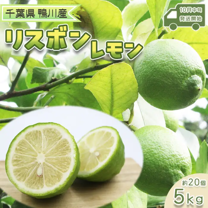 【皮までおいしい】果汁たっぷり 鴨川産レモン『リスボン』３kg（約20個） 《先行予約》《数量限定》《10月下旬発送》千葉エコ農産物 国産レモン 千葉県産 低農薬 栽培 樹上完熟 完熟収穫 旬の柑橘 旬のフルーツ [刈込園芸][0010-0277]