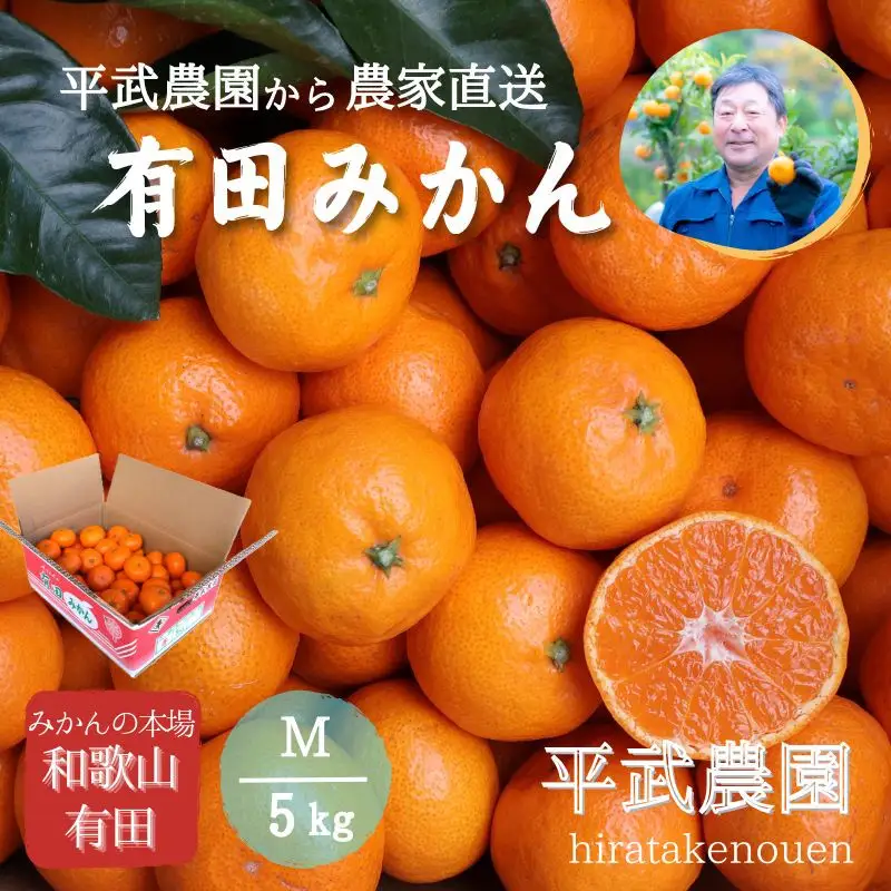 農家直送！有田みかん（5kg Mサイズ 秀品）平武農園　～蛍飛ぶ町から旬の便り～