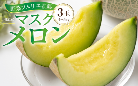 2027年《先行予約》 マスクメロン3玉(4～5キロ) メロン T-farm