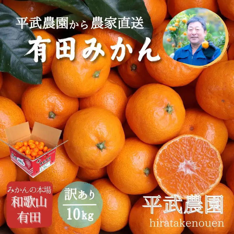 農家直送！有田みかん（10kg 訳あり≪サイズ混合≫）平武農園　～蛍飛ぶ町から旬の便り～