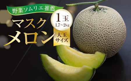 2027年先行予約 数量限定 野菜ソムリエ推薦渥美半島伊良湖潮風育ちマスクメロン1玉大玉サイズ(1.7～2キロ)カラーギフト箱入り 2026年６月下旬～８月上旬発送 田原市 伊良湖産 ギフト プレゼント お取り寄せ 渥美半島 農家直送 送料無料 10000円 一万円 メロンフルーツ