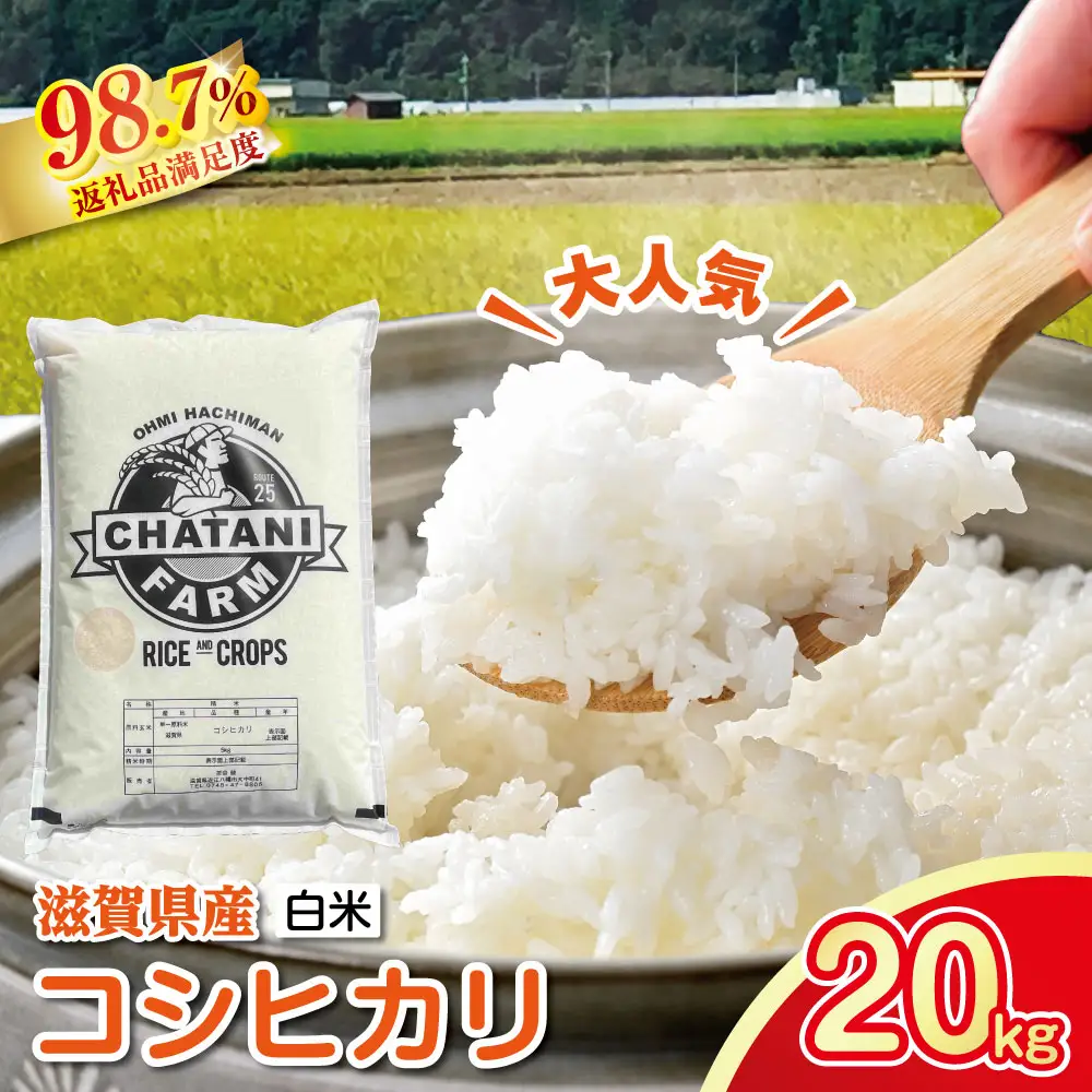 【新米】令和8年産　近江米　コシヒカリ 白米【20kg（10㎏×2袋）】【V016W1】 近江米 こしひかり