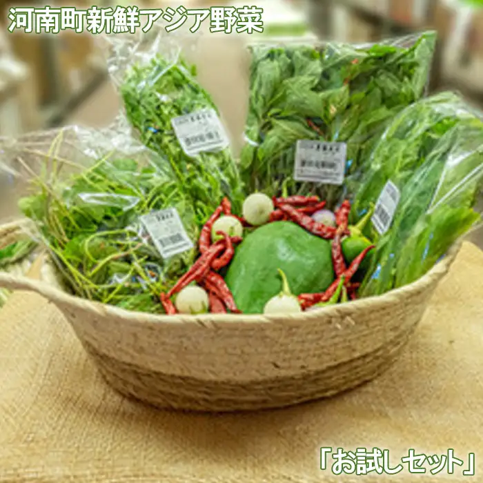 河南町新鮮アジア野菜「お試しセット」 No.331