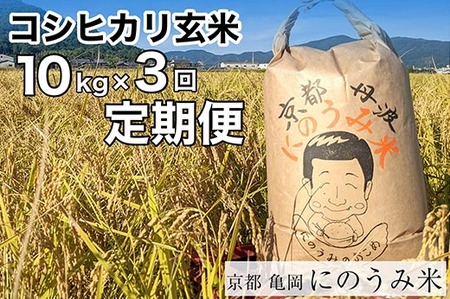 【定期便】【令和6年産先行予約】米 コシヒカリ 定期便 玄米 10kg×3カ月〈アグリにのうみ〉京都・亀岡産《令和6年産》 京都丹波産◇※北海道・沖縄・離島への配送不可※2024年10月中旬～11月中旬頃に順次発送予定