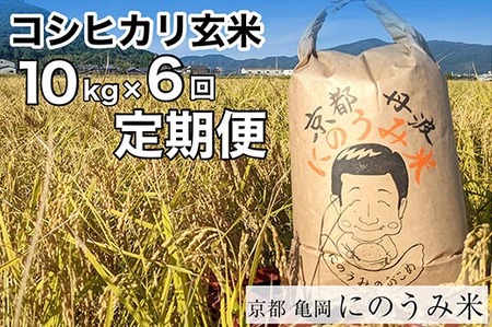 【定期便】【令和6年産先行予約】米 コシヒカリ 定期便 玄米 10kg×6カ月〈アグリにのうみ〉京都・亀岡産《令和6年産》 京都丹波産◇※北海道・沖縄・離島への配送不可※2024年10月中旬～11月中旬頃に順次発送予定