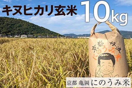 【令和7年産先行予約】米 キヌヒカリ 玄米 10kg〈アグリにのうみ〉