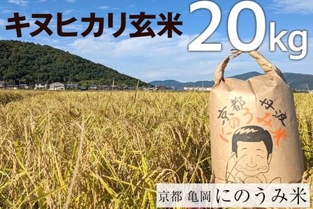 【令和7年産先行予約】米 キヌヒカリ 玄米 20kg〈アグリにのうみ〉