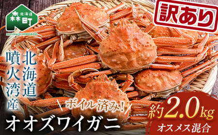  【訳あり】オオズワイガニ（ボイル済） 約2.0kg （オスメスどちらか）＜海鮮問屋　株式会社　瑞宝＞ ズワイガニ かに カニ 蟹 ガニ がに 海鮮 森町 北海道 mr1-0919