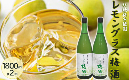 福井県産 紅映梅を使用した レモングラス梅酒（1800ml）2本セット　 お酒 洋酒 リキュール リキュール類