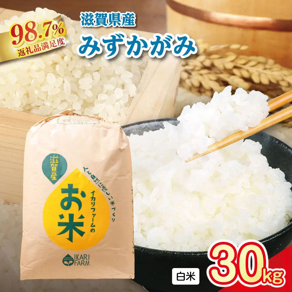 【新米】令和8年産 冷めても美味しいあっさりとした味わい「みずかがみ」白米【30kg×1袋】【C016W1】 近江米 みずかがみ