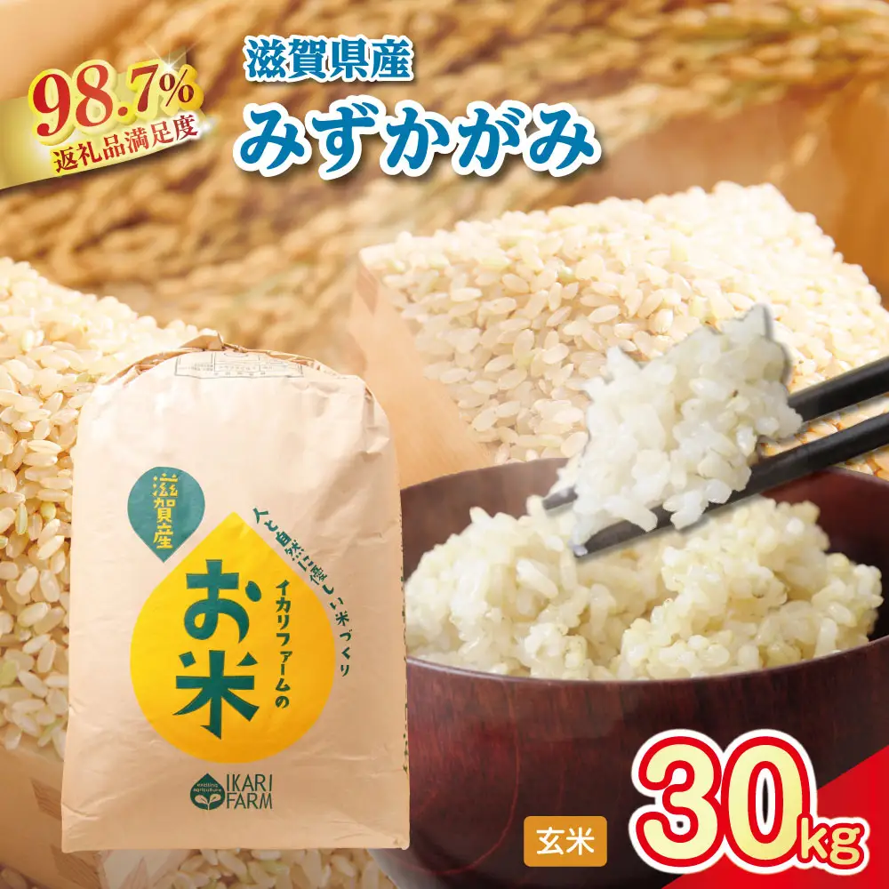 【新米】令和8年産 冷めても美味しいあっさりとした味わい「みずかがみ」玄米【30kg×1袋】【C019W2】近江米 米 大容量