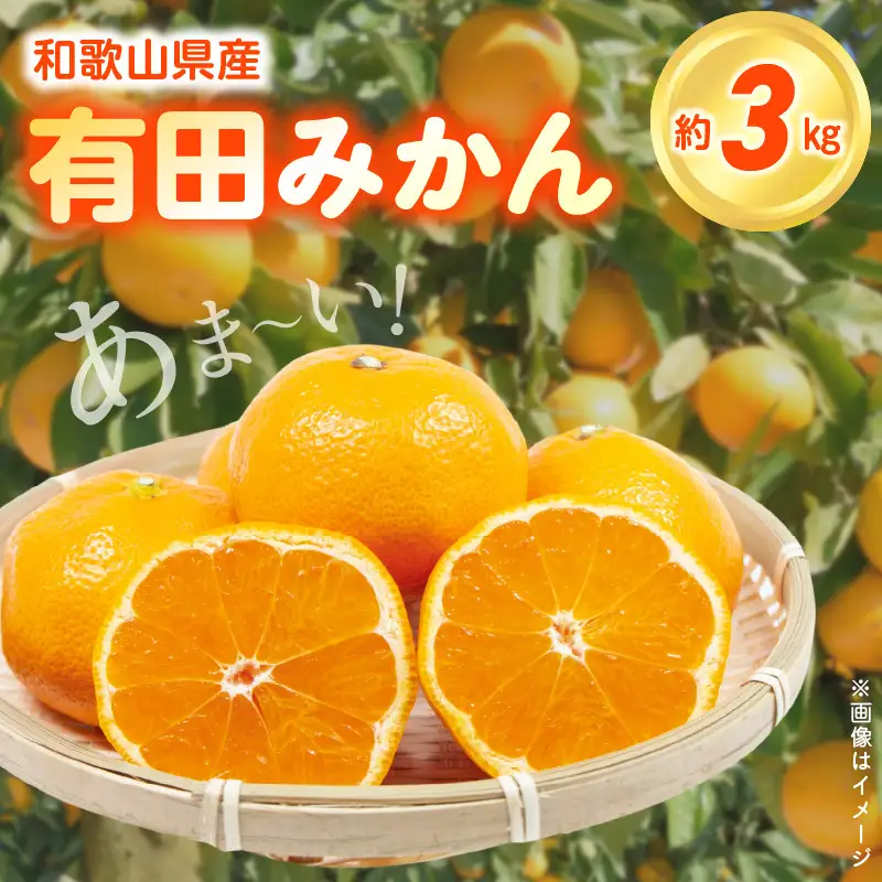 【2026年先行予約】こだわりの和歌山県産 有田みかん 3kg ひとつひとつ手選別で厳選！生産者から直送_ZN6012