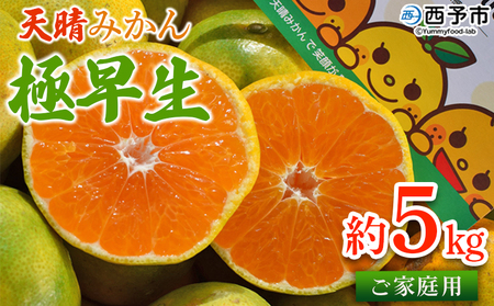 ＜天晴みかん 極早生 家庭用 約5kg＞ 温州ミカン 柑橘 果物 くだもの フルーツ 蜜柑 訳あり ワケアリ 自宅用 期間限定 季節限定 食べて応援 特産品 産地直送 ニコマル 株式会社笑丸 愛媛県 西予市【常温】『2026年9月下旬～10月中旬迄に順次出荷予定』AAN0024