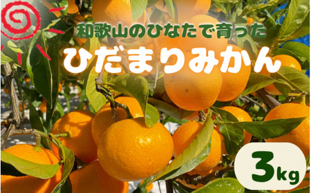 【先行予約】日向屋 ひだまりみかん　3kg(箱込み） ※2026年12月頃に順次発送予定【期間限定・2026/11/30まで】 / 田辺市 みかん 期間限定 先行予約 ミカン 和歌山 紀州【hnt015-1】