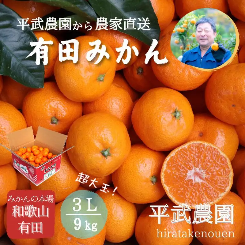 農家直送！有田みかん（9kg 3Lサイズ（超大玉）秀品）平武農園　～蛍飛ぶ町から旬の便り～