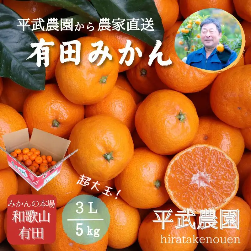 農家直送！有田みかん（5kg 3Lサイズ（超大玉）秀品）平武農園　～蛍飛ぶ町から旬の便り～