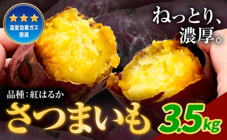 さつまいも 紅はるか 3.5kg《12月中旬-2月末頃出荷》熊本県 御船町 野菜 芋 さつま いも 焼き芋 送料無料