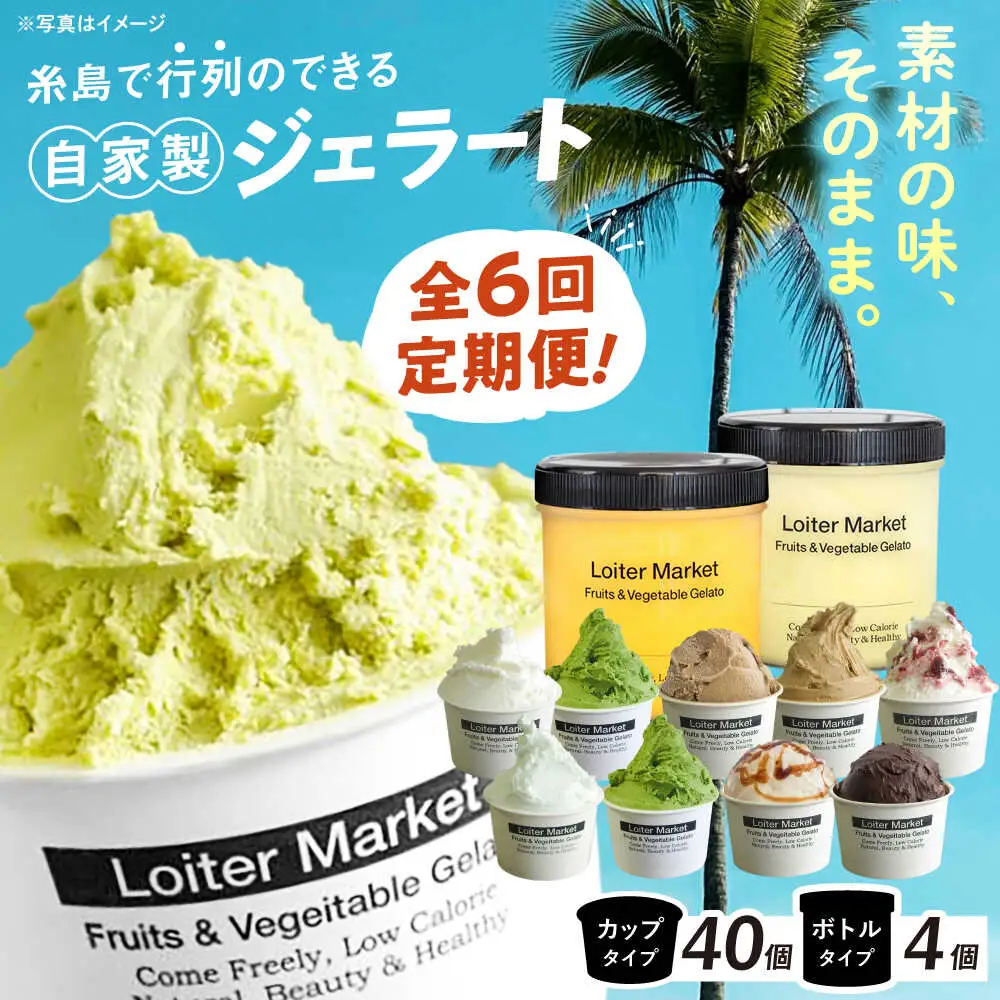 【全6回定期便】 ジェラート カップ 10個 ボトル 2個 アイス ジェラートセット [AGD011]