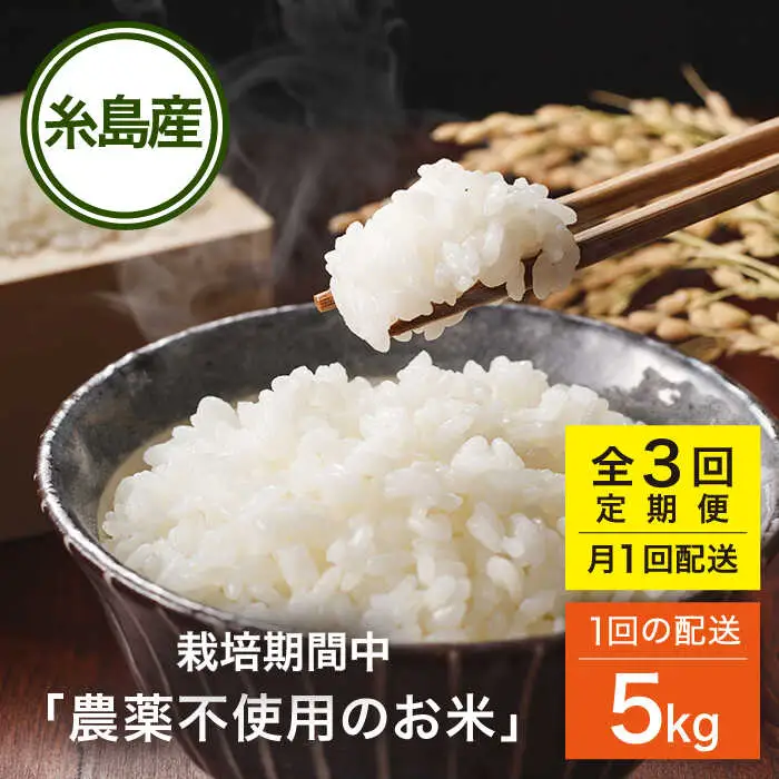 【全3回(月1回)定期便】 栽培期間中 農薬不使用のお米 ヒノヒカリ 5kg 糸島市 シーブ [AHC041] 米 定期便