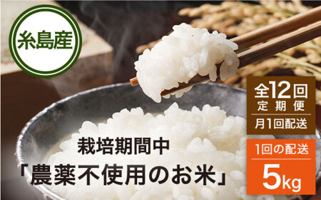 【全12回(月1回)定期便】 栽培期間中 農薬不使用のお米 ヒノヒカリ 5kg 糸島市 シーブ   [AHC043] 米 定期便