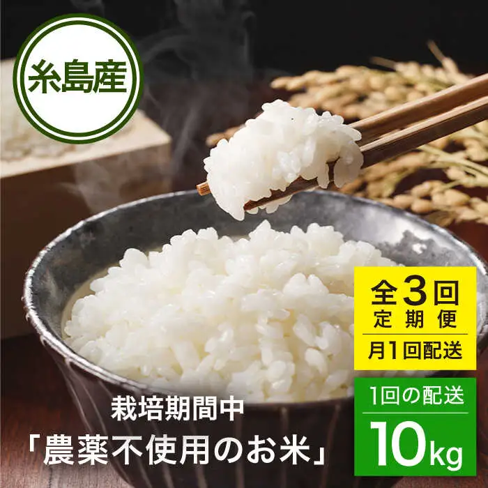 【全3回(月1回)定期便】栽培期間中 農薬不使用のお米 ヒノヒカリ 10kg 糸島市 シーブ [AHC044] 米 定期便