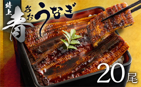 最高級 特上 幻の青うなぎ 20尾 うなぎ