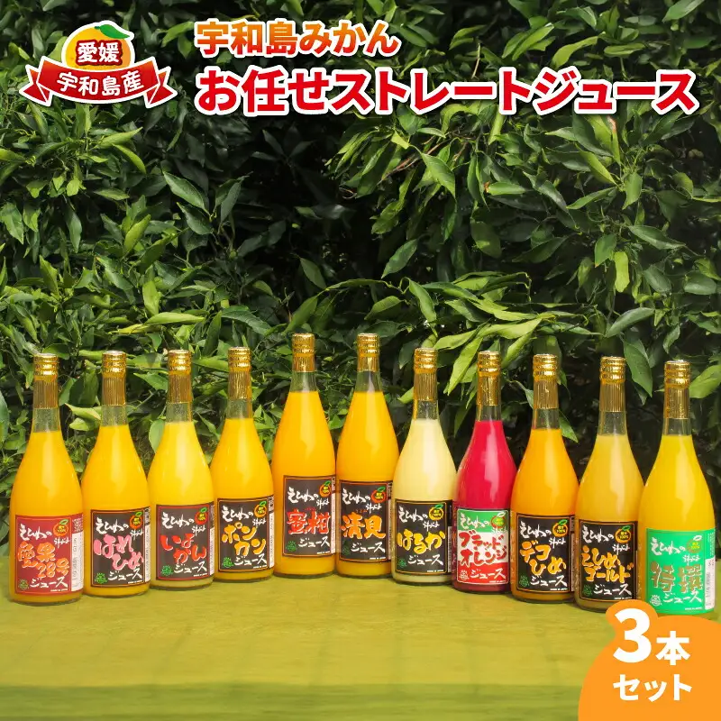みかんジュース (720ml×3本) │ ストレート みかんジュース WF H012-024016