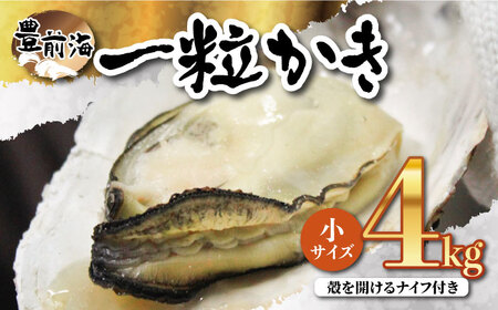 ブランド牡蠣 「 豊前海一粒かき (しいだ小粒がき)」 小サイズ 4kg [ABAY003]