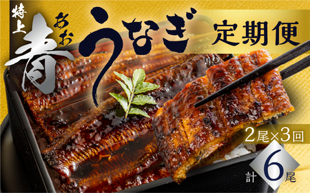 【定期便】幻の青うなぎ 蒲焼 2尾 全3回 定期便
