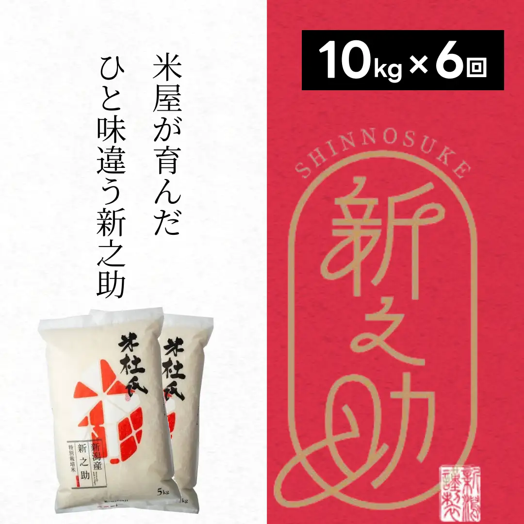 【令和8年産新米】【6ヶ月定期便 】 特別栽培米 新之助 10kg (5kg×2袋)×6回 米杜氏 壱成 白米 精米 大粒 つや 光沢 弾力 芳醇 新米 1H28168