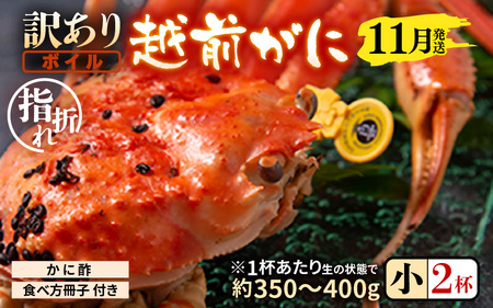 【11月発送】【先行予約】【訳あり】茹で越前がに（小）2杯 やまに仕込み [D-4306_11]