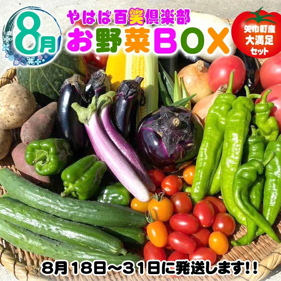 数量限定　矢巾町産　夏野菜セット【10種】8月発送/産地直送 野菜セット 約10品目 新鮮 旬 野菜 やさい きゅうり ナス ピーマン 玉ねぎ りんご じゃがいも トマト ミニトマト キャベツ にんじん 枝豆 ネギ 詰め合わせ お取り寄せ おまかせ おすすめ 岩手県 矢巾町